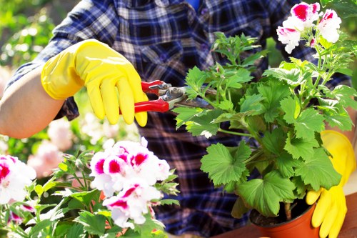 Gardeners Colney Hatch improving a well-kept local garden