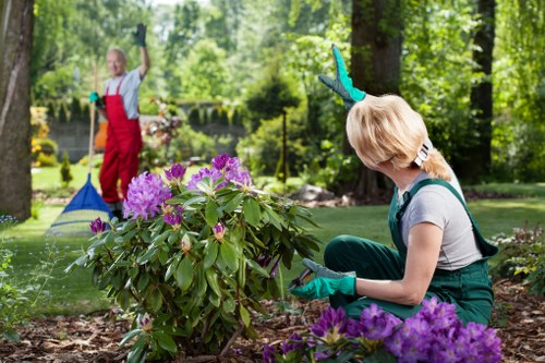 Seasonal lawn mowing service for Colney Hatch homes