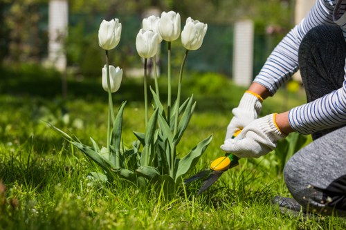 Regular review of health and safety practices in garden maintenance