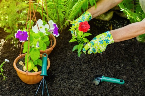 Transparent pricing and quotes for local gardening services