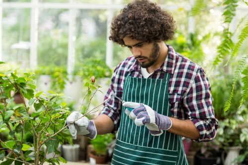 Gardeners Colney Hatch team story and local garden care introduction