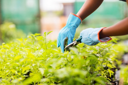 Reviewing modern slavery risks in the supply chain