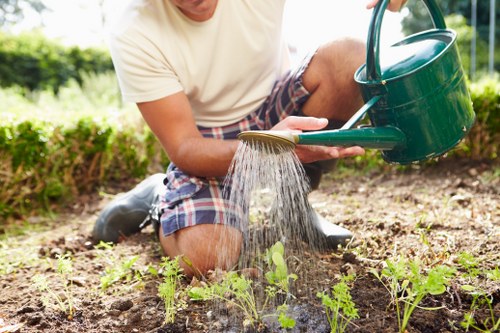 Garden clearance and maintenance services in Colney Hatch