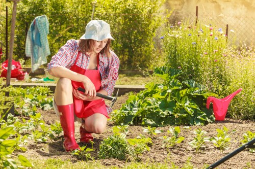 Free garden quote policy for Colney Hatch gardeners