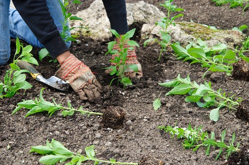 Garden safety awareness with clear communication and preparation