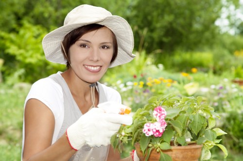 Seasonal and reliable gardening support in Colney Hatch