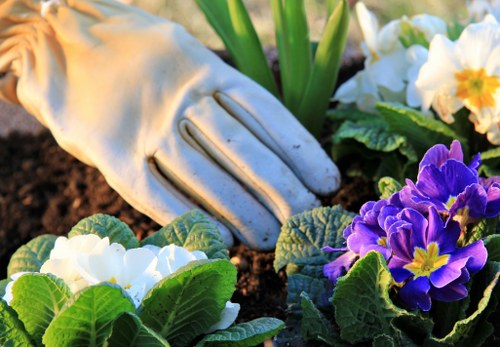 Seasonal planting and maintenance by Colney Hatch gardeners