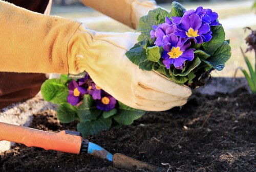 Hedge trimming and plant care for a residential garden in Colney Hatch