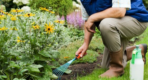 Experienced garden care approach for Colney Hatch properties