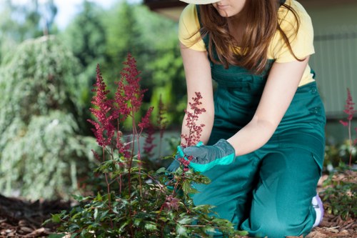 Risk assessment planning for a garden maintenance job