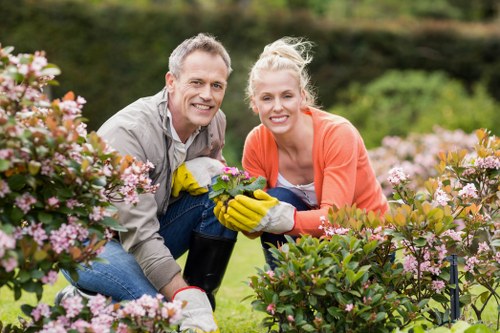 Example garden maintenance job for a Colney Hatch home