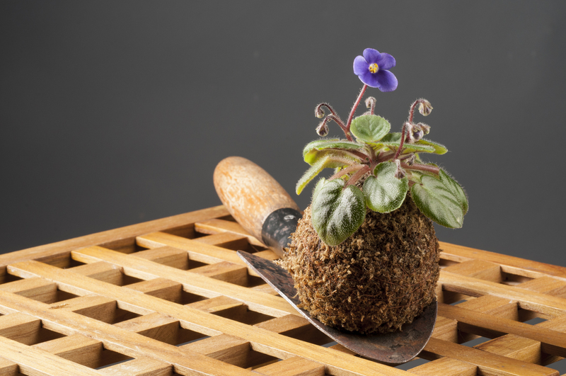 garden planting